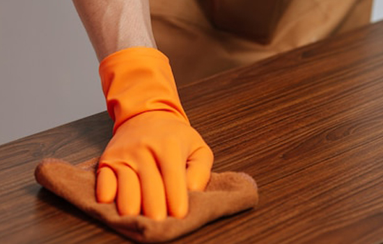 Furniture Cleaning Services