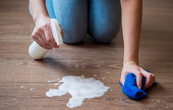 Pet Stains Removal / Stains Removal